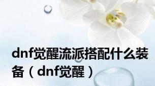 dnf觉醒流派搭配什么装备（dnf觉醒）