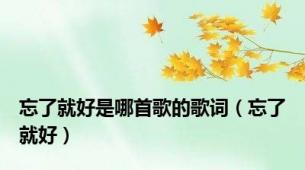 忘了就好是哪首歌的歌词（忘了就好）