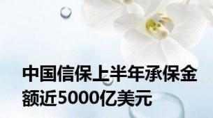 中国信保上半年承保金额近5000亿美元