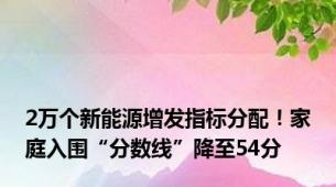 2万个新能源增发指标分配！家庭入围“分数线”降至54分