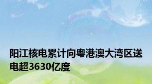 阳江核电累计向粤港澳大湾区送电超3630亿度