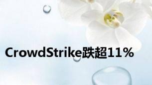 CrowdStrike跌超11%