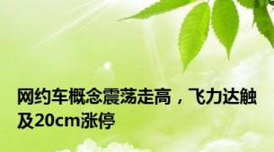 网约车概念震荡走高，飞力达触及20cm涨停