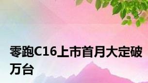 零跑C16上市首月大定破万台