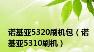 诺基亚5320刷机包（诺基亚5310刷机）