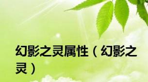 幻影之灵属性（幻影之灵）