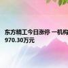 东方精工今日涨停 一机构净买入970.30万元