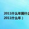 2011什么年属什么命（2011什么年）