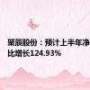 聚辰股份：预计上半年净利润同比增长124.93%