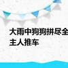 大雨中狗狗拼尽全力帮主人推车