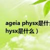 ageia physx是什么（physx是什么）