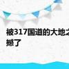 被317国道的大地之树震撼了