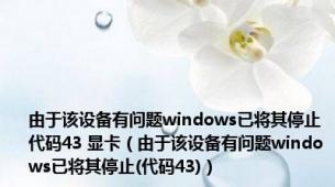 由于该设备有问题windows已将其停止代码43 显卡（由于该设备有问题windows已将其停止(代码43)）