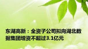 东湖高新：全资子公司拟向湖北数据集团增资不超过3.1亿元