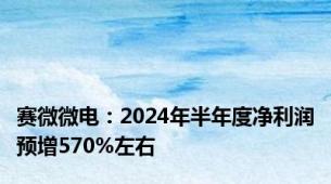 赛微微电：2024年半年度净利润预增570%左右