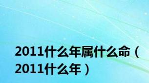 2011什么年属什么命（2011什么年）