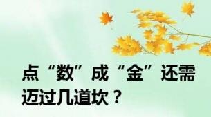 点“数”成“金”还需迈过几道坎？