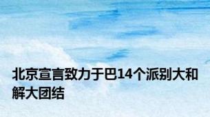 北京宣言致力于巴14个派别大和解大团结