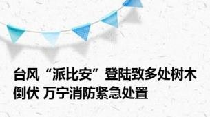 台风“派比安”登陆致多处树木倒伏 万宁消防紧急处置