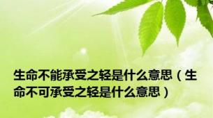 生命不能承受之轻是什么意思（生命不可承受之轻是什么意思）