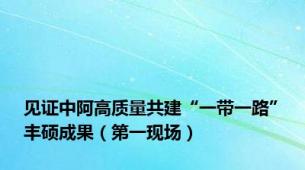 见证中阿高质量共建“一带一路”丰硕成果（第一现场）