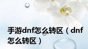 手游dnf怎么转区（dnf怎么转区）