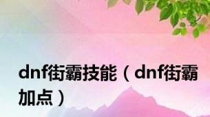 dnf街霸技能（dnf街霸加点）