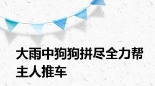 大雨中狗狗拼尽全力帮主人推车