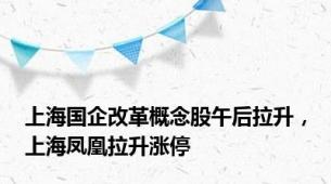 上海国企改革概念股午后拉升，上海凤凰拉升涨停