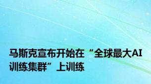 马斯克宣布开始在“全球最大AI训练集群”上训练