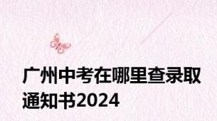 广州中考在哪里查录取通知书2024