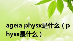 ageia physx是什么（physx是什么）