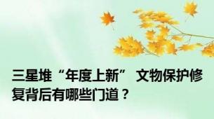 三星堆“年度上新” 文物保护修复背后有哪些门道？