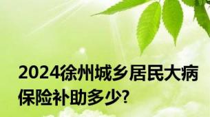 2024徐州城乡居民大病保险补助多少?