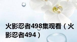 火影忍者498集观看（火影忍者494）