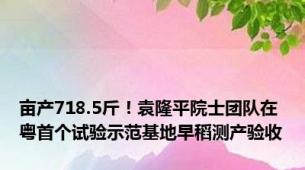 亩产718.5斤！袁隆平院士团队在粤首个试验示范基地早稻测产验收