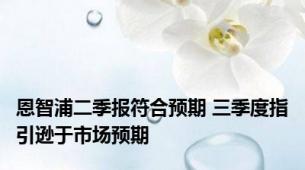 恩智浦二季报符合预期 三季度指引逊于市场预期