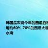 韩国瓜农说今年的西瓜白种了 主产地约60%-70%的西瓜大棚都遭到水淹