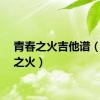 青春之火吉他谱（青春之火）