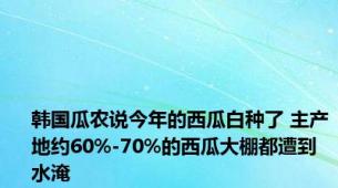 韩国瓜农说今年的西瓜白种了 主产地约60%-70%的西瓜大棚都遭到水淹