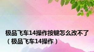 极品飞车14操作按键怎么改不了（极品飞车14操作）