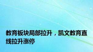 教育板块局部拉升，凯文教育直线拉升涨停