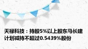 天禄科技：持股5%以上股东马长建计划减持不超过0.5439%股份