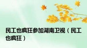 民工也疯狂参加湖南卫视（民工也疯狂）