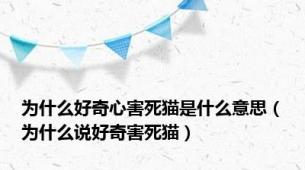 为什么好奇心害死猫是什么意思（为什么说好奇害死猫）