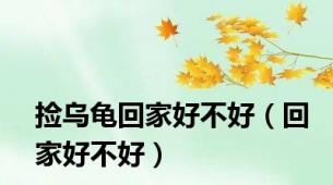 捡乌龟回家好不好（回家好不好）