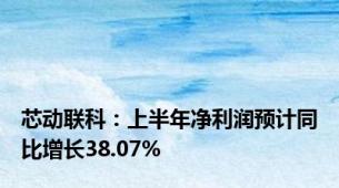 芯动联科：上半年净利润预计同比增长38.07%