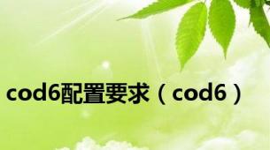 cod6配置要求（cod6）