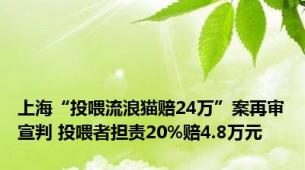 上海“投喂流浪猫赔24万”案再审宣判 投喂者担责20%赔4.8万元