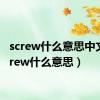 screw什么意思中文（screw什么意思）